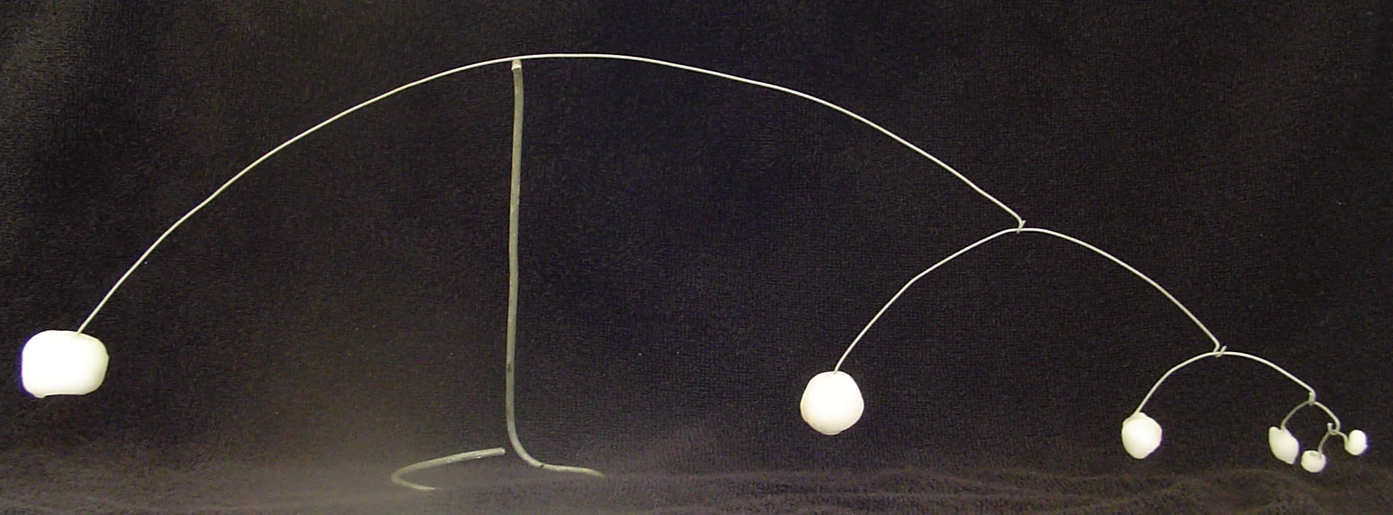 DSC01988-cropped.jpg